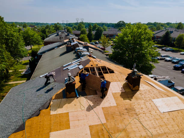Best Roof Gutter Cleaning  in Robins, IA