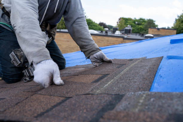 Best New Roof Installation  in Robins, IA