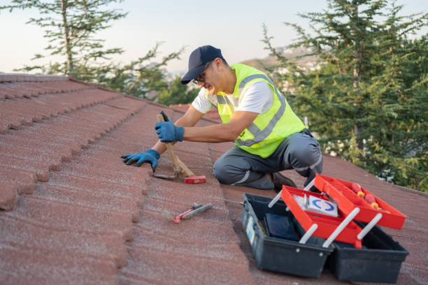 Best Residential Roofing Contractor  in Robins, IA