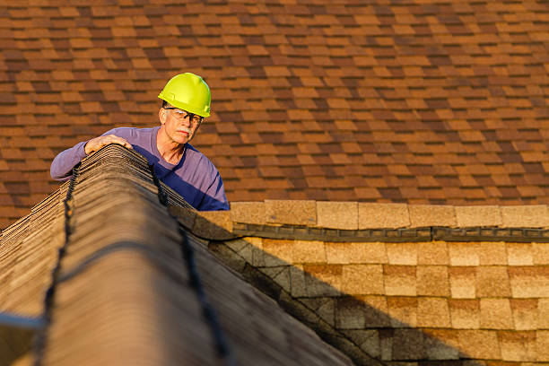 Best Roof Repair Services  in Robins, IA