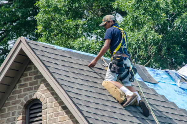 Trusted Robins, IA Roofing Contractor Experts