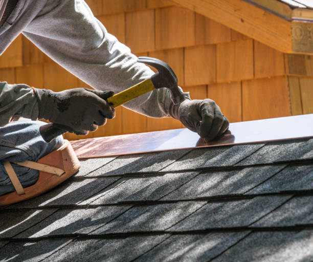 Best Flat Roof Repair Services  in Robins, IA